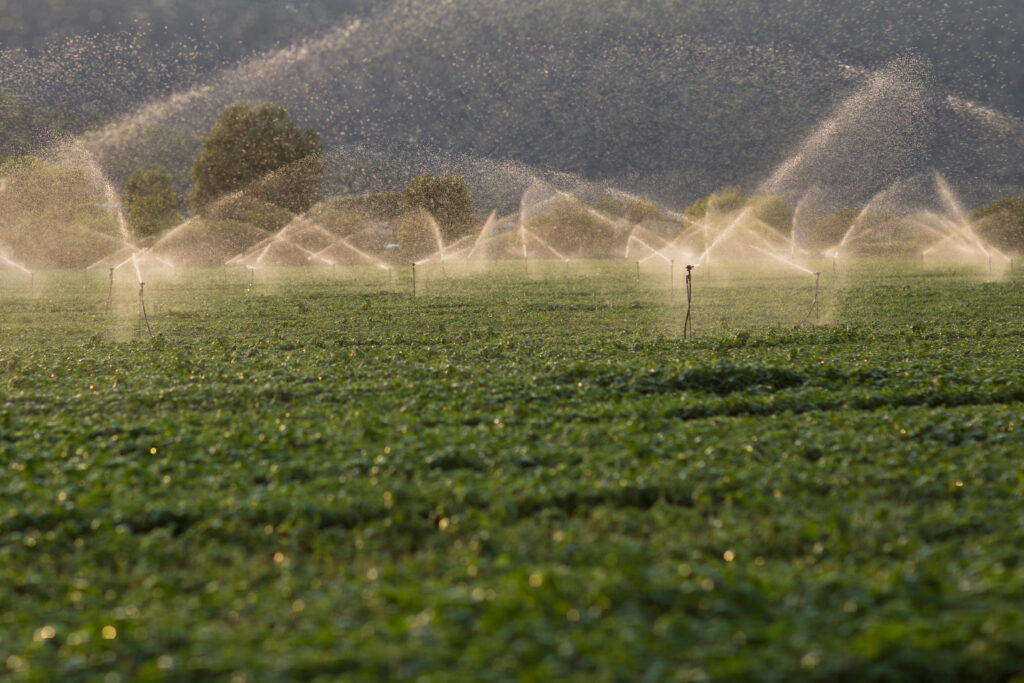 Bologna, 27/06/2024 | Agricoltura del futuro: Decisioni, Energia e Precisione